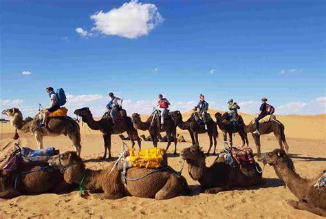 Balade en Chameau dans le Désert de Merzouga